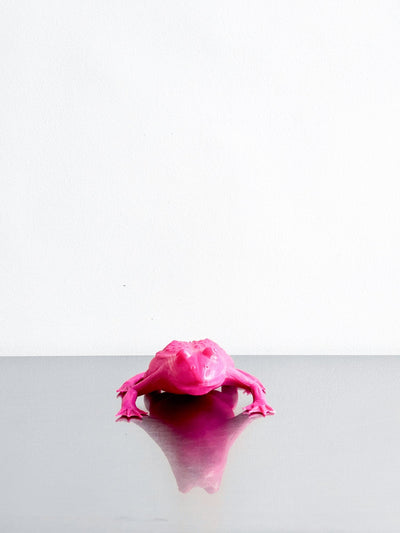 frog "Cracking Art" by artetica - Design from Milan